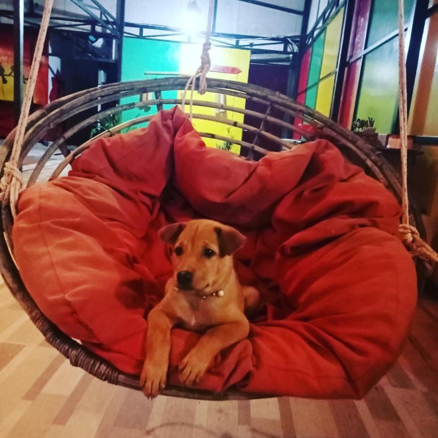 코롱 산로엠 Lucky Sun Saracen Bay 호스텔 외부 사진